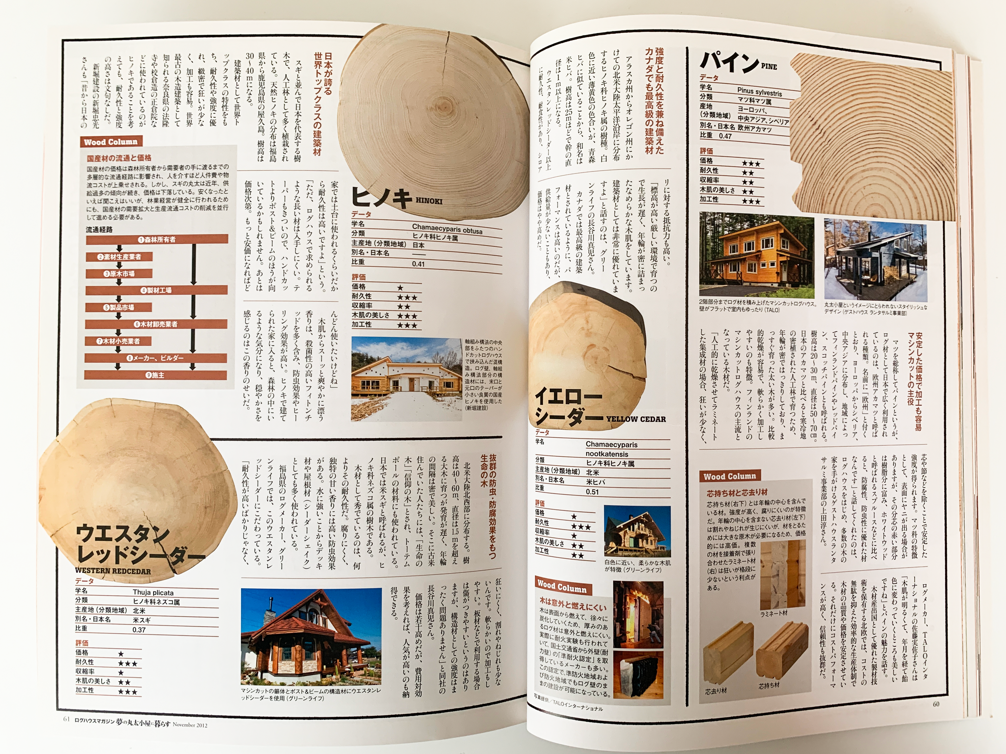 『夢の丸太小屋に暮らす LOG HOUSE MAGAZINE』 2012.12　地球丸刊  